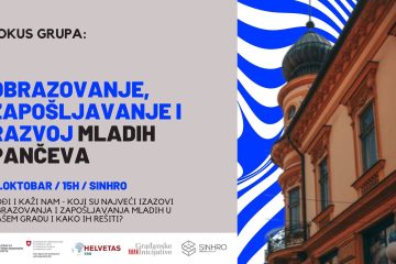 Фокус група Синхро